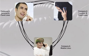 Business group– Fixed to Mobile – Mobile to Fixed